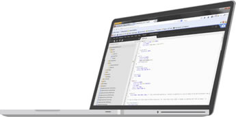 Custom Web Application Development